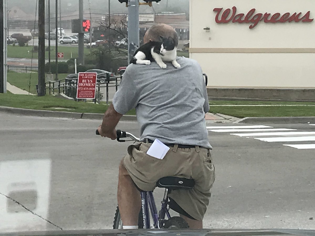 issa Rissa (@RissaDobbels) | Twitter