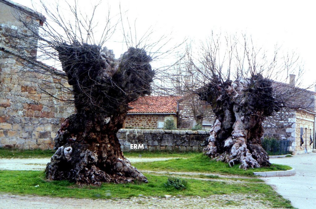 Que recuerdos....
arqytrad.blogspot.com/2013/05/aquell…