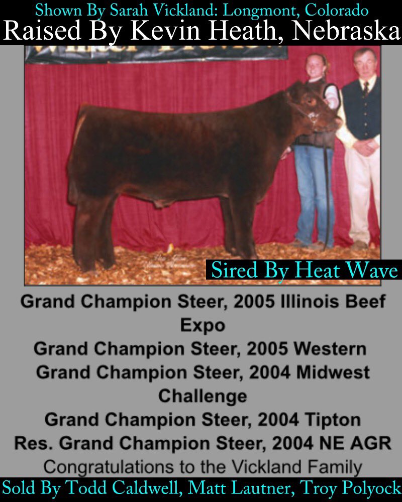 mattlautner's tweet photo. Pasture 2 Purple For Kevin Heath Black Power Play x Tin Man Steer @ 2018 AKSARBEN Livestock Show In Grand Island, Nebraska #SpringTimePic #FallPic 
-
Grand Prospect Steer
AKSARBEN Livestock Show
Shown By Allison Heath
Raised By Kevin Heath
Sired By Black Power Play 
#BreedLautner https://t.co/hHGiUHZNgS