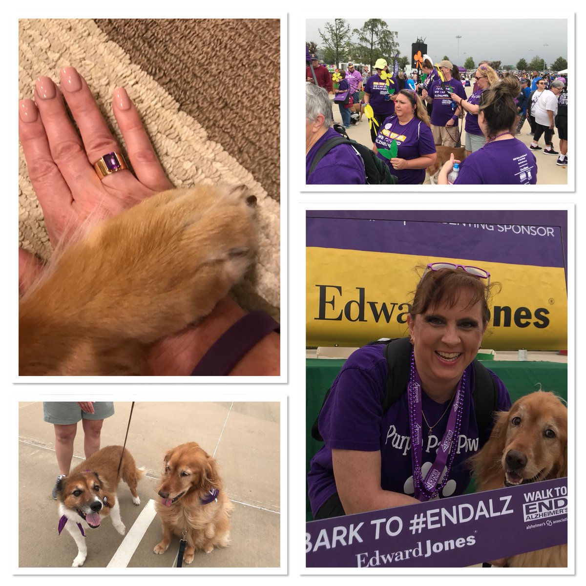 StacyRupert's tweet photo. #Walk2EndAlz #ENDALZ #iamup #purplepawpower #barktoendalz For Grandma, Aunt Sandra and Dad https://t.co/BufVxAd5s3