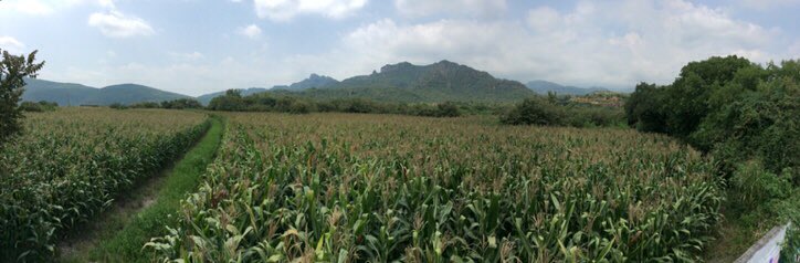 Tepozltan's tweet photo. SE VENDEN 6 MAGNIFICOS TERRENOS EN TEPOZTLAN: tepoztlan2015@gmail.com https://t.co/t0PyZxQx9x