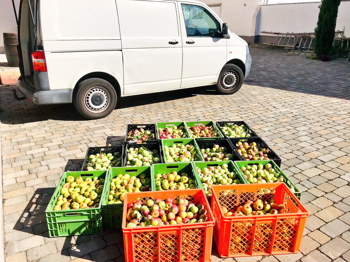 MuseumGriesheim's tweet photo. Heute waren wir mal wieder auf der #griesheim #streuobstwiese und haben weitere #Äpfel für unser #Kelterfest am kommenden #Wochenende gesammelt! Wir freuen uns auf euch in @GriesheimBeiDA beim #Museum #apfelwein #schoppe #ebbelwoi #most #süsser https://t.co/2gzpCUJmo5