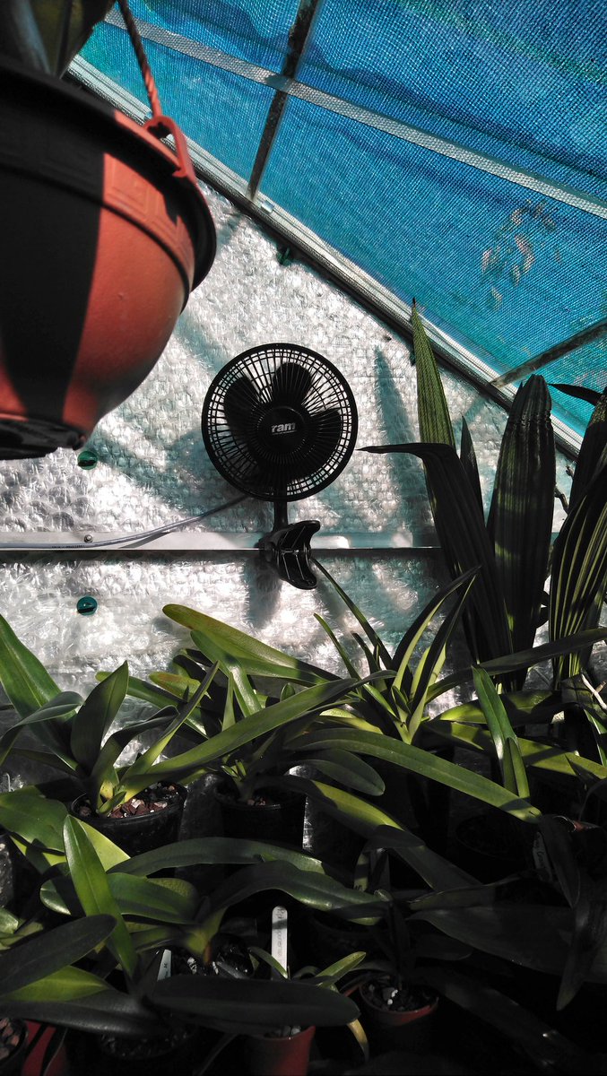 rockerblonde's tweet photo. Greenhouse fans are in up and running, hopefully this will help in winter and also in summer. Time will tell!!! #greenhouse #orchids #fans #airmovemeant #additons https://t.co/lmHTma0rv8