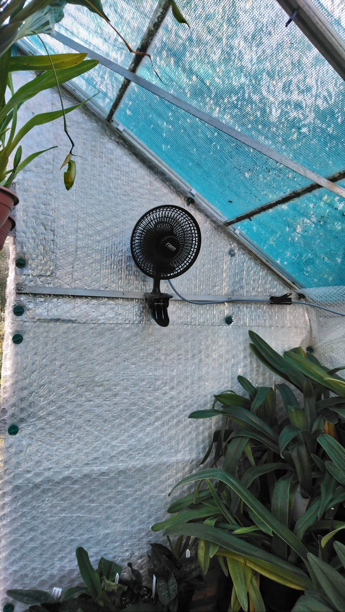 rockerblonde's tweet photo. Greenhouse fans are in up and running, hopefully this will help in winter and also in summer. Time will tell!!! #greenhouse #orchids #fans #airmovemeant #additons https://t.co/lmHTma0rv8
