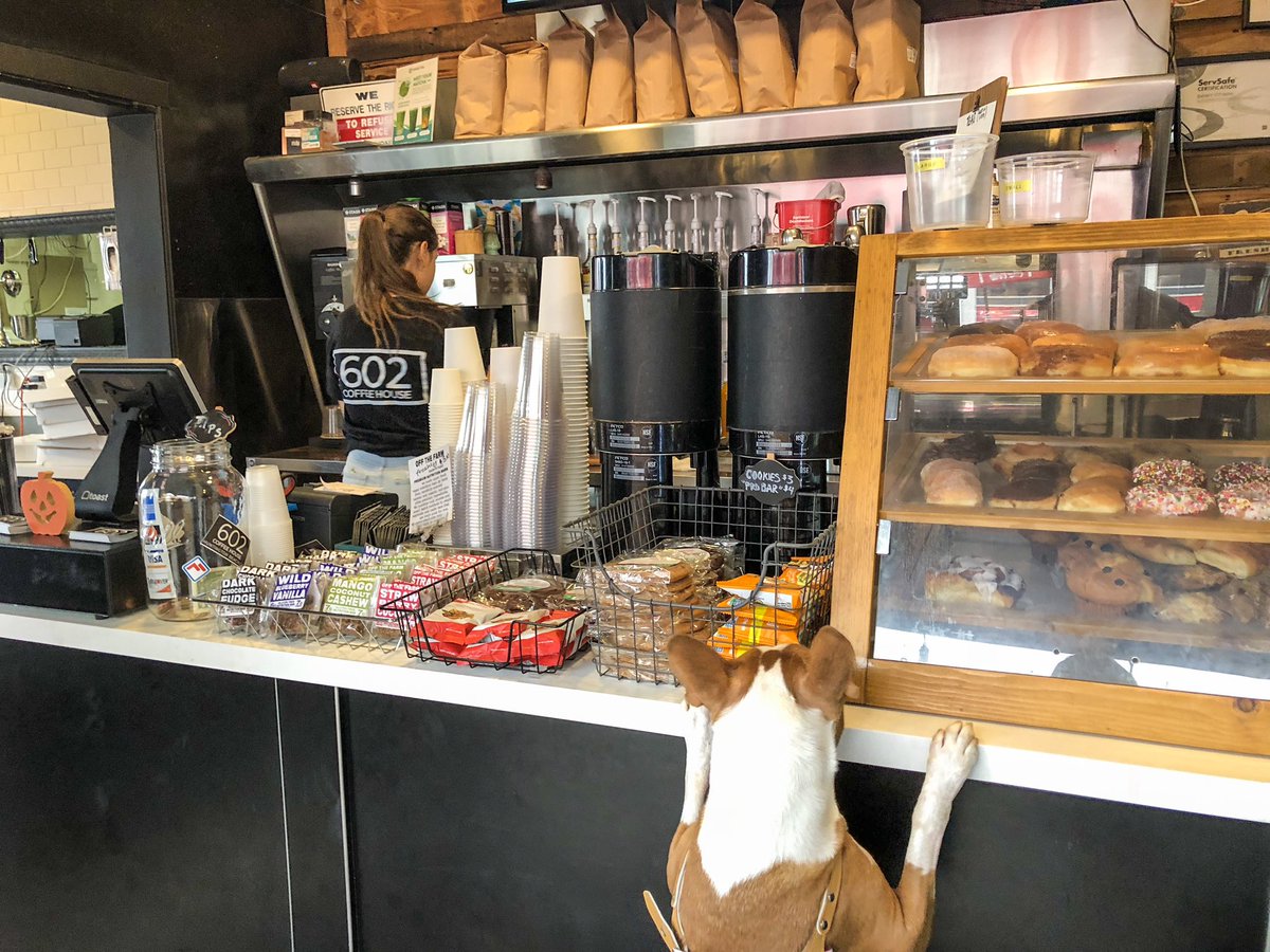 “Hi just a green tea and a chocolate-free pastry, please.” - Baxter at 602 Coffee in <a href="/HBSurfCityUSA/">Visit Huntington Beach, CA</a>