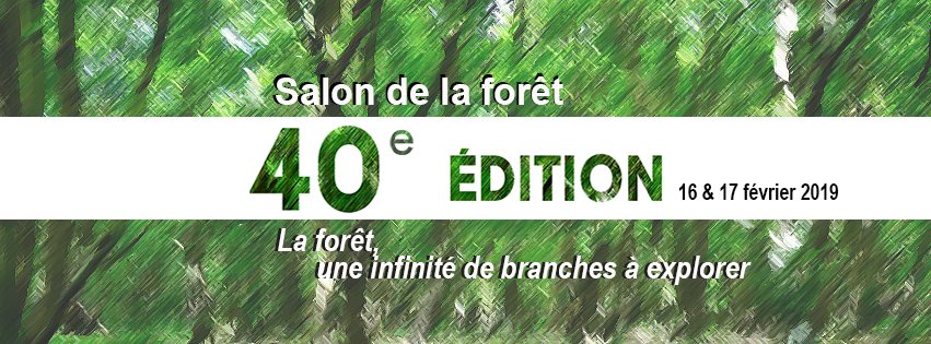 SSF_ffgg_ulaval's tweet photo. La Semaine des sciences forestières célèbre la 40e édition du Salon de la forêt! Nous vous réservons plein de surprises et de nouveautés. Restez à l'affût! 🌲
#salondelaforêt #ssf #ulaval https://t.co/nfZNFpFgMz