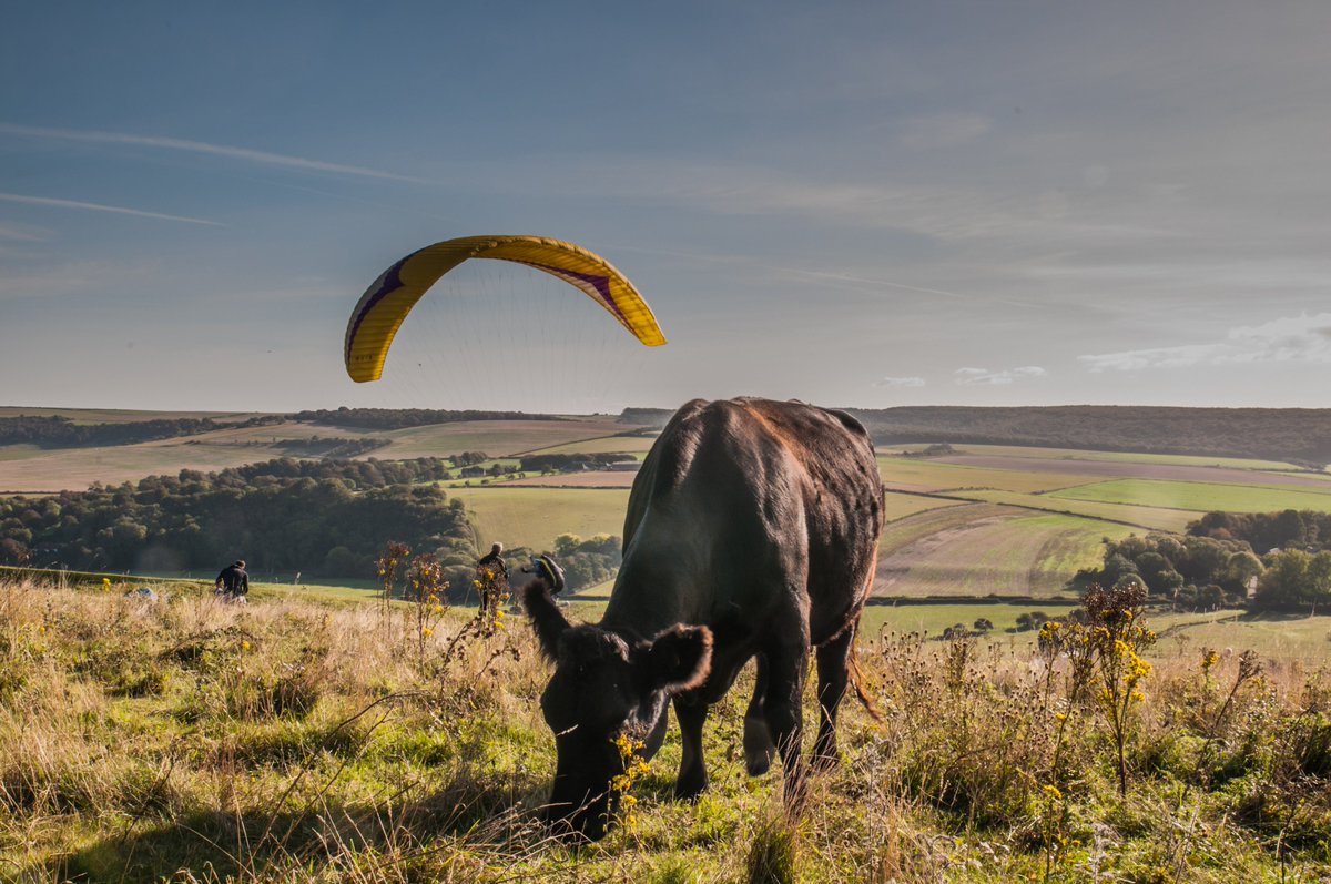 Bur1Burr's tweet photo. #Paragliders #Paragliding at #HighAndOver #Seaford #Litlington over the #Cuckmere River valley #Sussex UK . David Burr #Alamy live newsfeed https://t.co/C2beBlyMdT