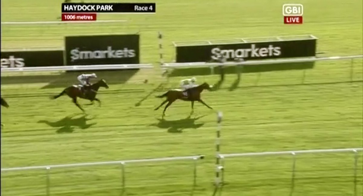 EquianoClub's tweet photo. #DAKOTAGOLD 4G Equiano x Joyeaux (Mark of Esteem) makes all to salute at @haydockraces for Tr Michael Dodd @mdodsracing & Jk @Connorbeasley94 @newsellspark #FINALVENTURE 6G Equiano x Sharplaw Venture finishes 3rd https://t.co/RMxGtF75DD