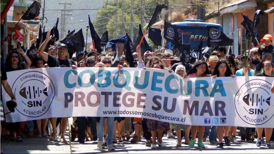 BaruManosalva's tweet photo. ÑUBLE DEFIENDE SU MAR 

Este 4 de octubre NO a los proyectos acuícolas.

#ÑubleSinSalmoneras 

@AParqueSchleyer
@chillanactivo 
@CronicaChillan
@TSCobquecura https://t.co/mIofp71W9i