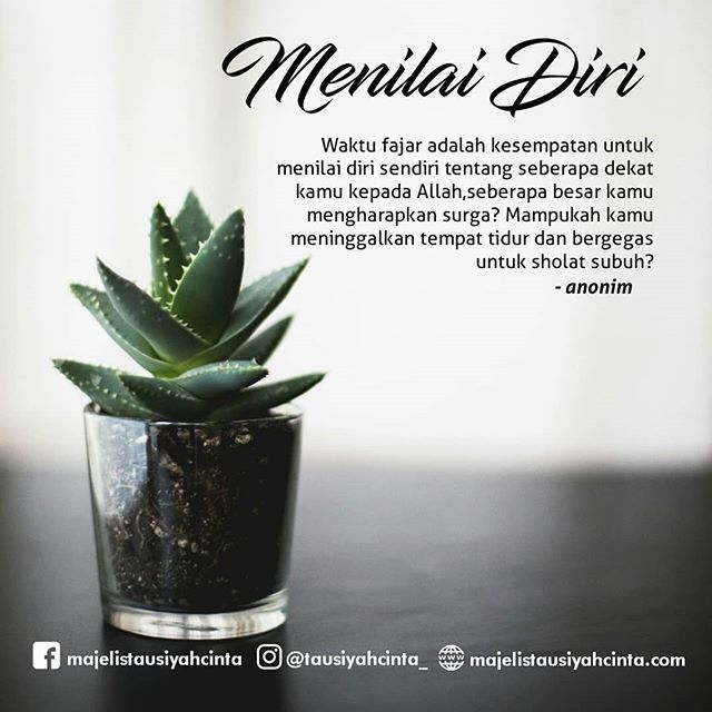 TausiyahCinta_'s tweet photo. Menilai diri .
.
Follow @cintakucing_id
Follow @cintakucing_id

#cintakucing
📸 : unsplash
📝 : anonim https://t.co/hfiSBbPDcz https://t.co/ZoZ7OFKG4Y https://t.co/pgHeqJX0CQ