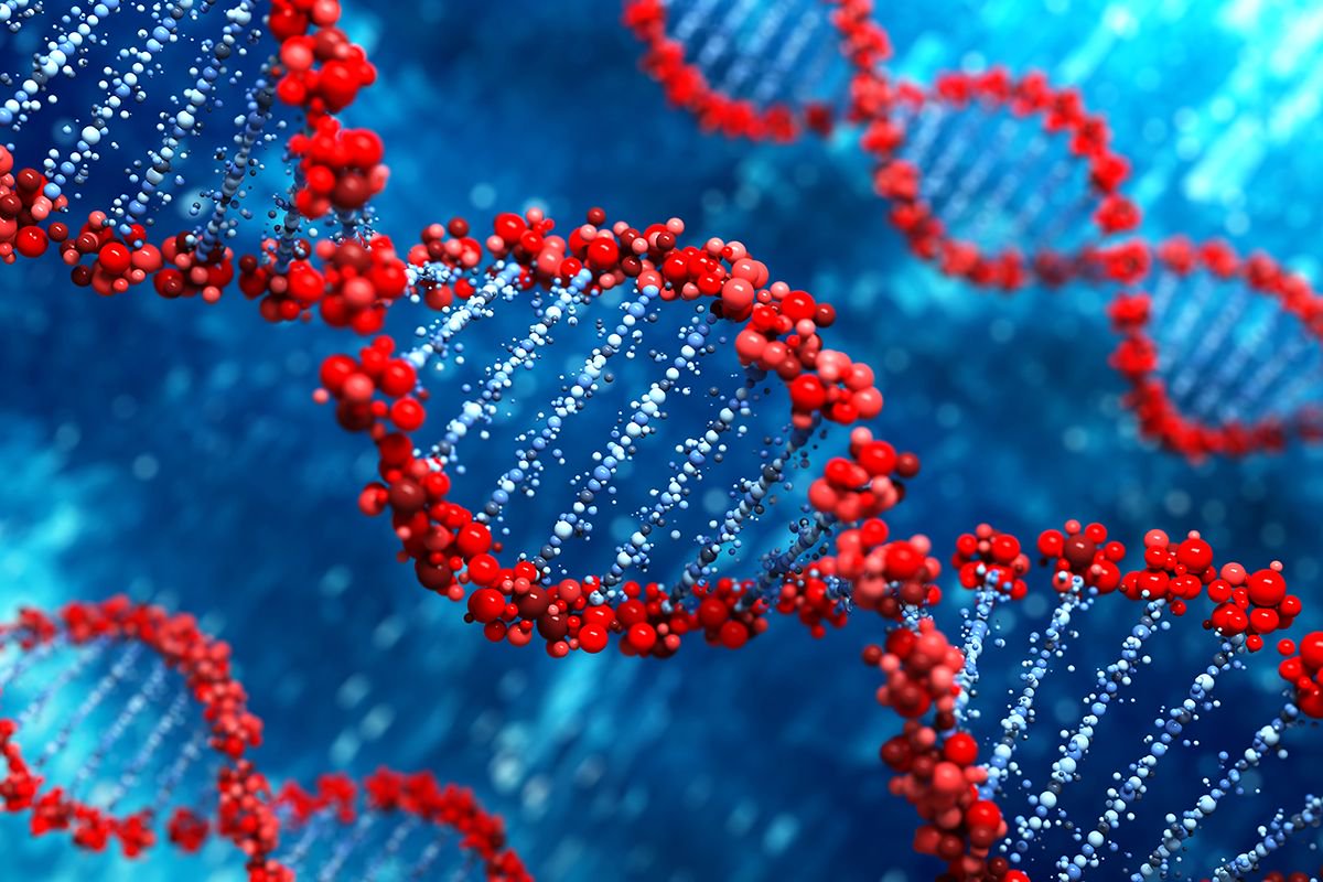 VoxelCreative's tweet photo. "We can now 'read' human genomes, and we can ‘write’ human genomes in a manner inconceivable just three or four years ago." - Siddhartha Mukherjee in "The Gene: An Intimate History" #genomics #genetics #STEM #CRISPR #genetech #biotech #syntheticbiology #biology #technology https://t.co/lCwbojR41O