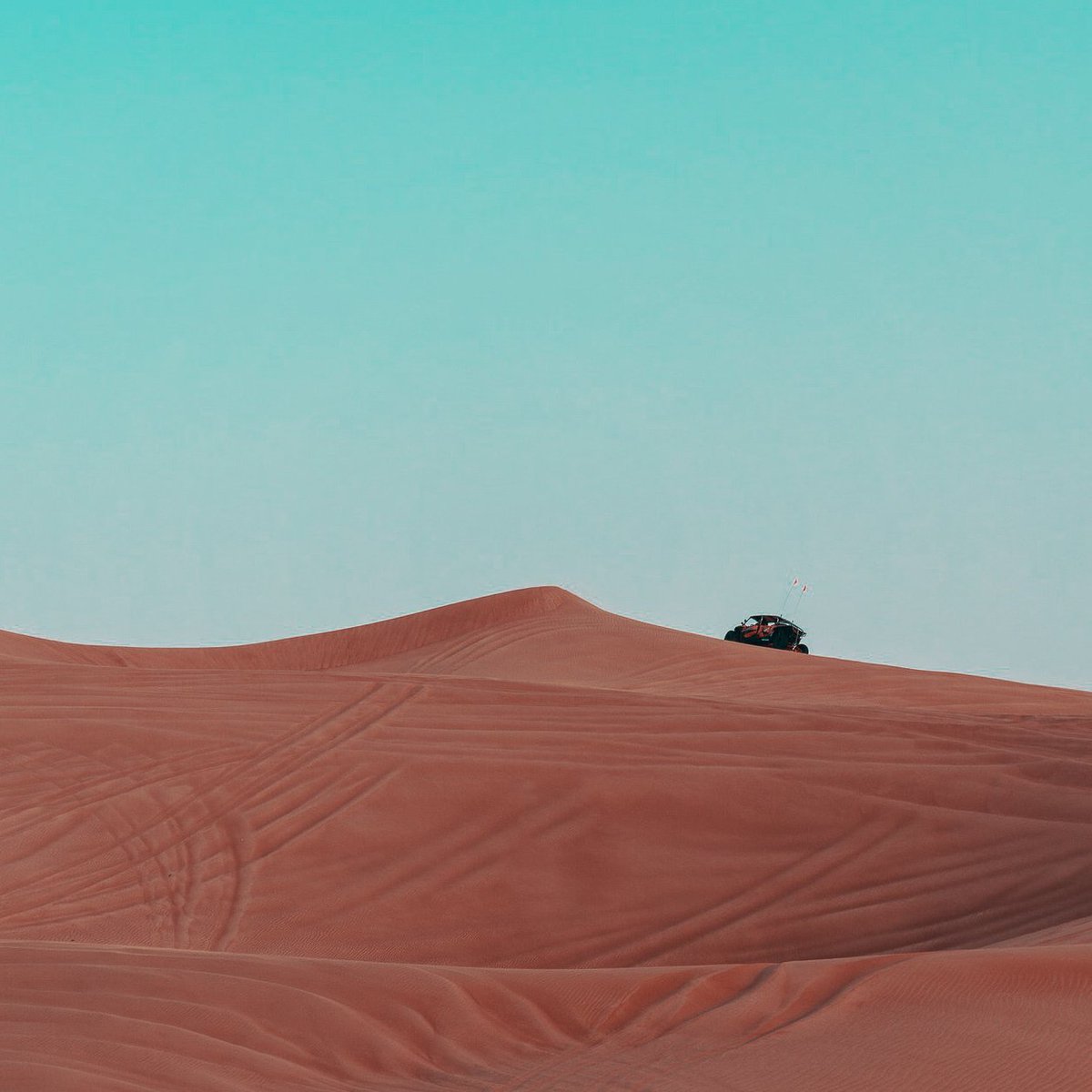 JustFlyBusiness's tweet photo. Dreaming of Dubai? π¦πͺ
There's something for everyone in the safest city in the world, including breath takings views, historical sites and so much more! π
See the modern city of today and book with #JFlyB βοΈ https://t.co/DmeevACQbN
#travel #holiday #vacationπ΄ https://t.co/cCb4BW2Y13