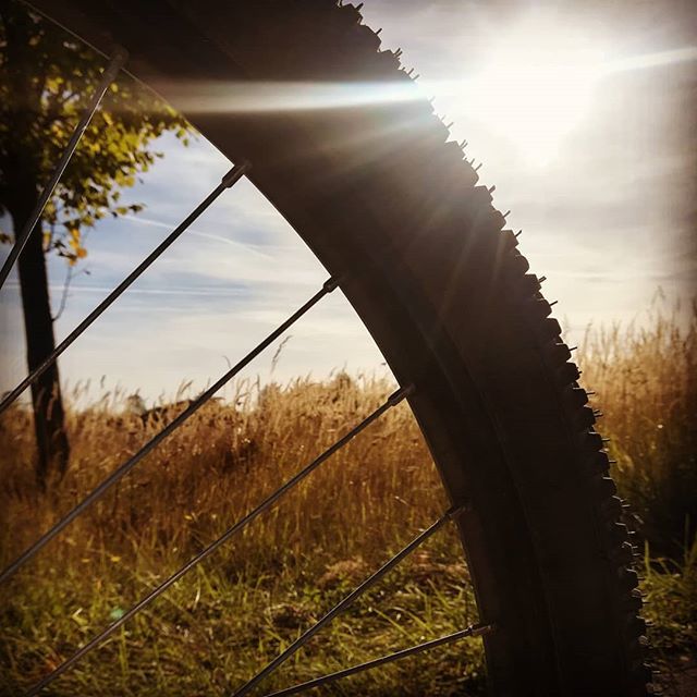 DanyKopatz's tweet photo. Heute haben wir mal wieder die Räder aus dem Keller geholt und sind ein bisschen über die Felder gefahren. War eine schöne Tour von knapp 28km 🚲 ☀
#rad #bike #biking #cycling #radfahren #sport #training #sonne #natur #reifen #speiche #andereperspekt… https://t.co/AVpFcZcte9 https://t.co/u3dQVLIqlS