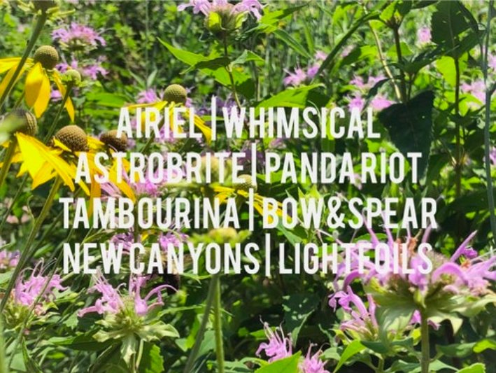 ChopShopChi's tweet image. Windy City CrashPop is going down tonight with some great Chicago artists! Presented by @CHIRPRadio, it starts at 5pm and tickets are available here or at the door!

Tickets &amp;gt;&amp;gt; chopshopchi.com/event/1748256-…