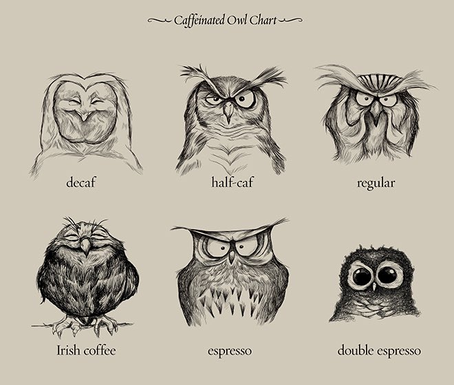 StellaPop's tweet photo. Can’t be dripp’n, gotta press.☕️ Owl’s are so, so wise when it comes to the #CaffeinatedLife. #NationalCoffeeDay https://t.co/DGKLi70gmr