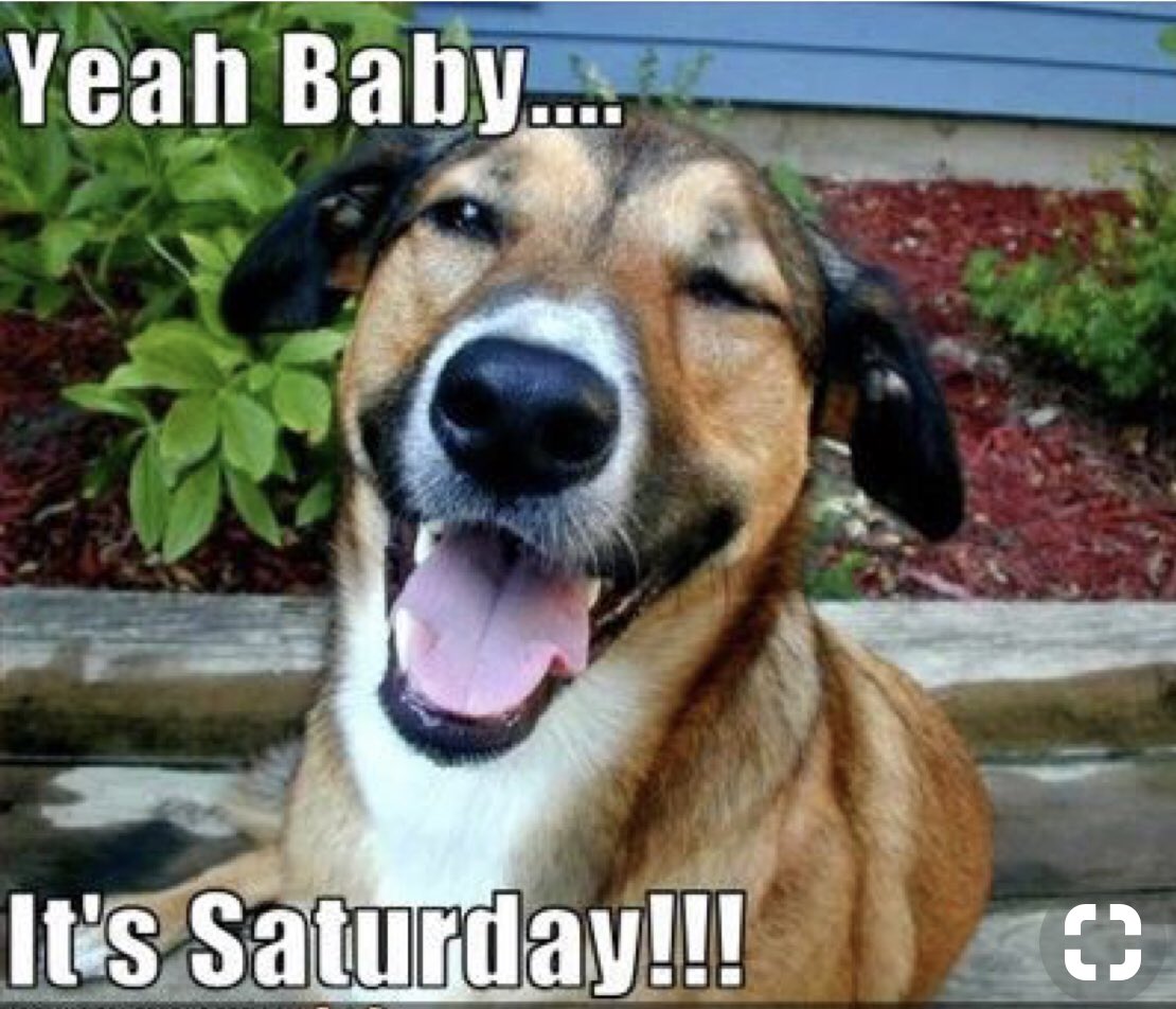 TheDogSalon's tweet photo. Weeeeekend 🤗🤗🤗 https://t.co/QBXD8gXauY