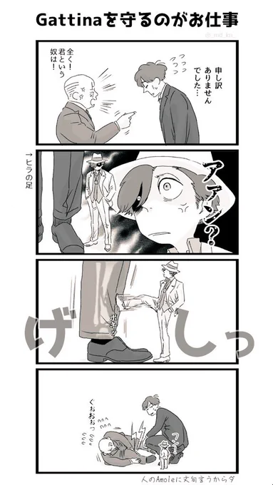 ドンヒラ。ちっちゃいドンがいる日常。 