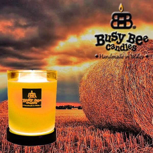 Busy Bee Candles® (BusyBeeCandles) Twitter
