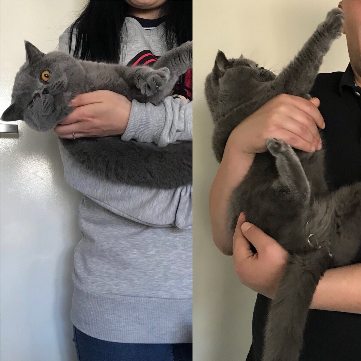 I only love hugs from humum