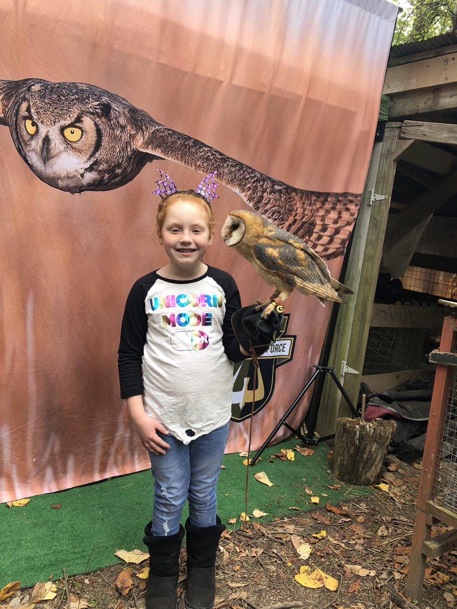 Jill_Burkemper's tweet photo. Renfeststl and we are holding barn owls! So amazing! #wildlifecommandcenter #renfeststl18 https://t.co/73OpbRgzzI