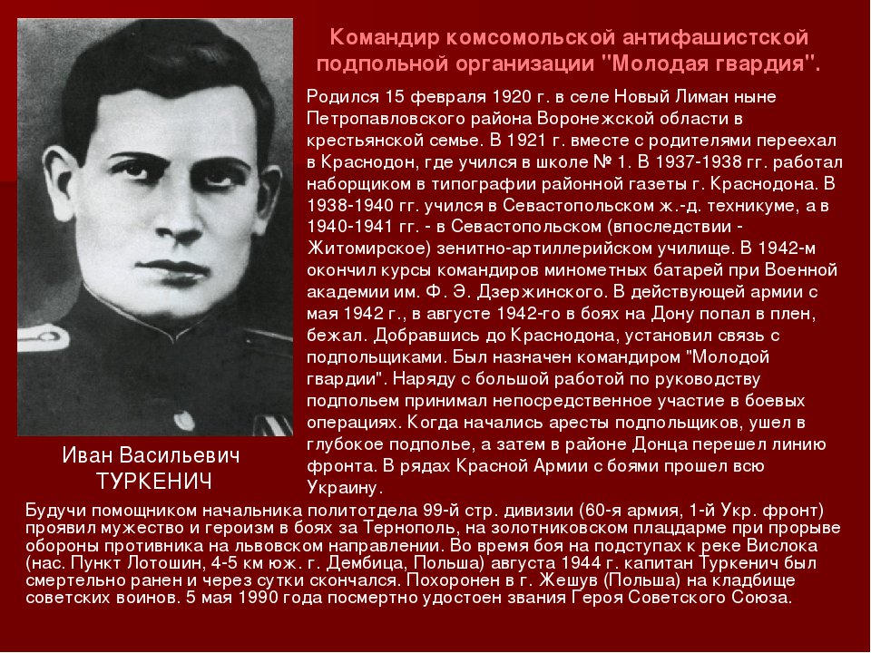 Подпольная организация молодая гвардия действовала в