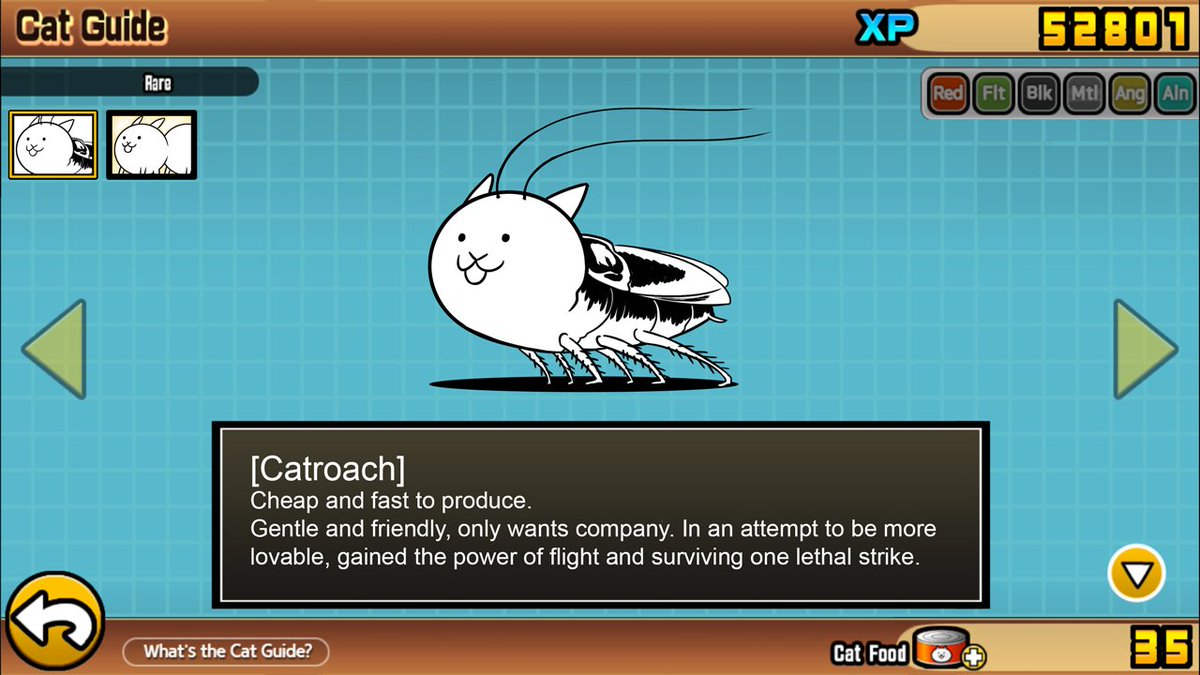 bomber cat true form bomber cat true form