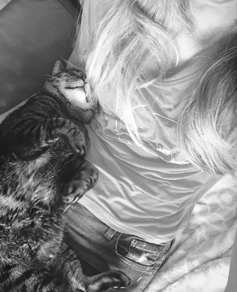 Happy #Caturday 🖤