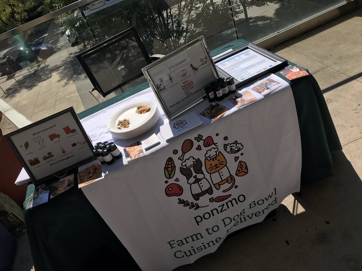 canibringdogs's tweet photo. Come down to @citytapucity with @phillypaws @VictoryBeer @Doggie_Style Barktoberfest 🍻🍻🐶🐾❤️ of course - FREE ponzmo! https://t.co/ZIb6xoikG9