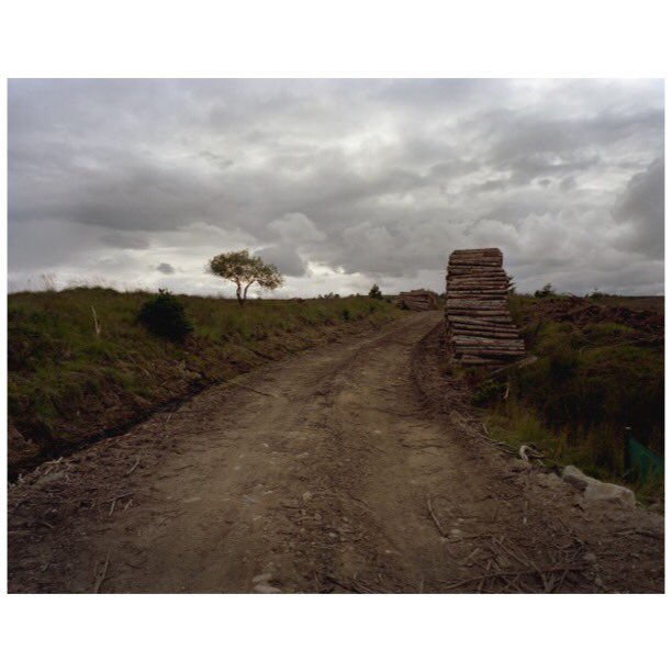 sophiegerrard_'s tweet photo. New work, new landscapes sharing images from #theflowcountry as I work towards a new #exhibition with @DocuScotland to be shown in early 2019 at @martinparrfdn #sutherland #contestedlands #documentscotland #peatlandrestoration @TheFlowCountry #environment #filmisnotdead #scotland https://t.co/ukjUmOtHnZ