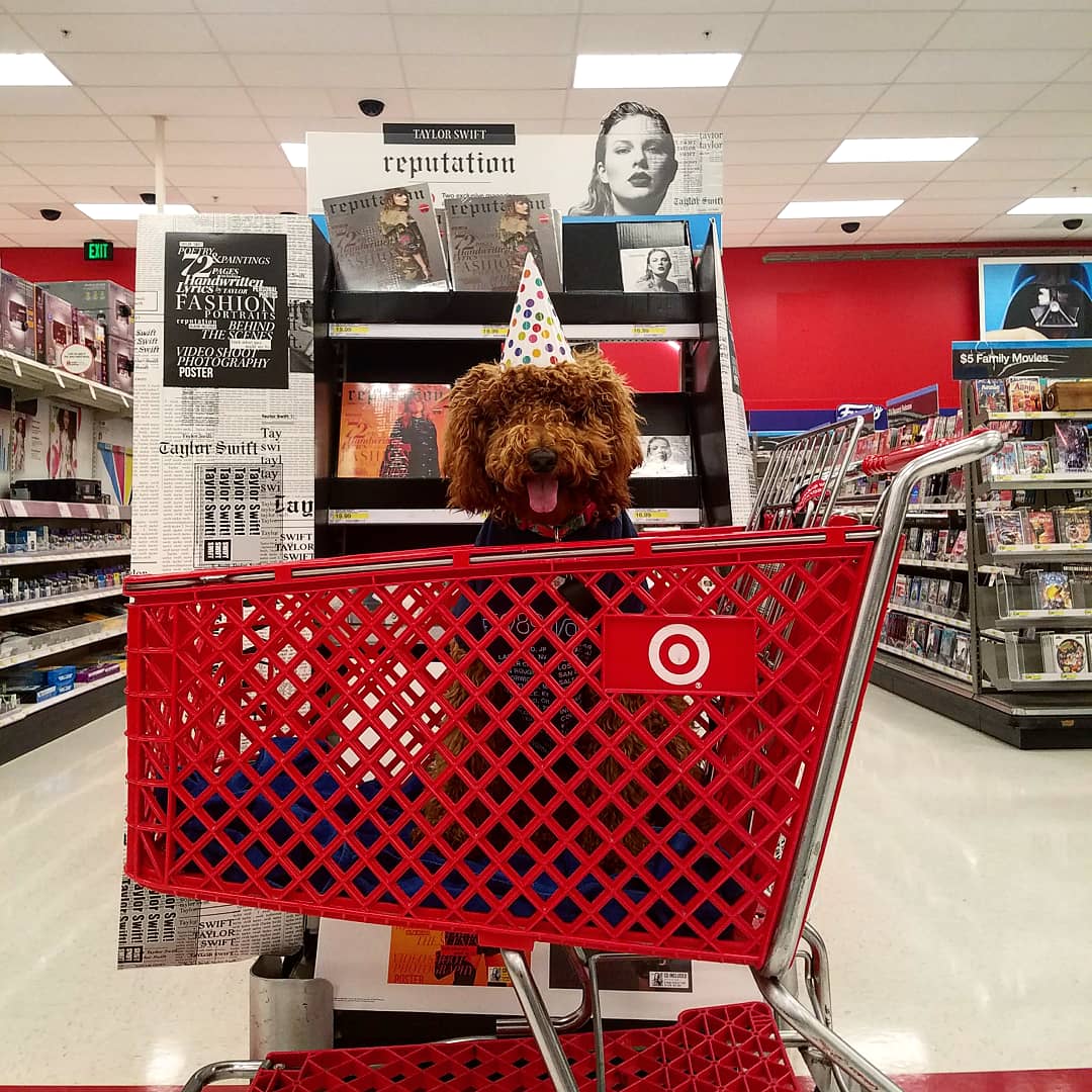 swiftdoodlemom's tweet image. Seeing @taylorswift13 today 🤗 @taylornation13 #repHouston #RepTourHouston #reputationStadiumTour