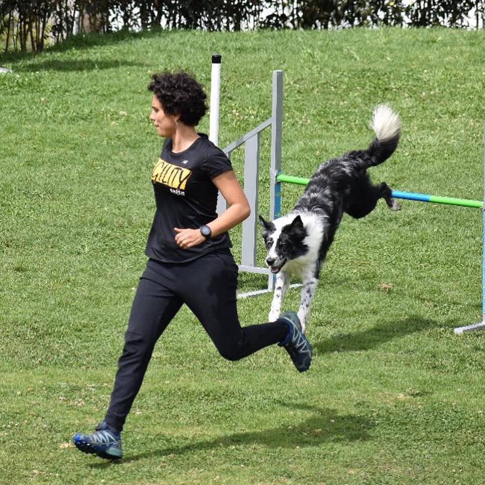 ColombiaAgility's tweet photo. Selección Colombia de Dog Agility🐾 que nos representarán en el mundial de Agility en Suecia 🇸🇪 emprende su viaje @agilityvm2018
@ELTIEMPO @NoticiasRCN @NoticiasCaracol @ZuluagaCamila @Mascotas_Y_Co @NoticiasUno @Citytv @CMILANOTICIA 
#agilitycolombia #agility @elespectador https://t.co/cIJ0VRQvn4