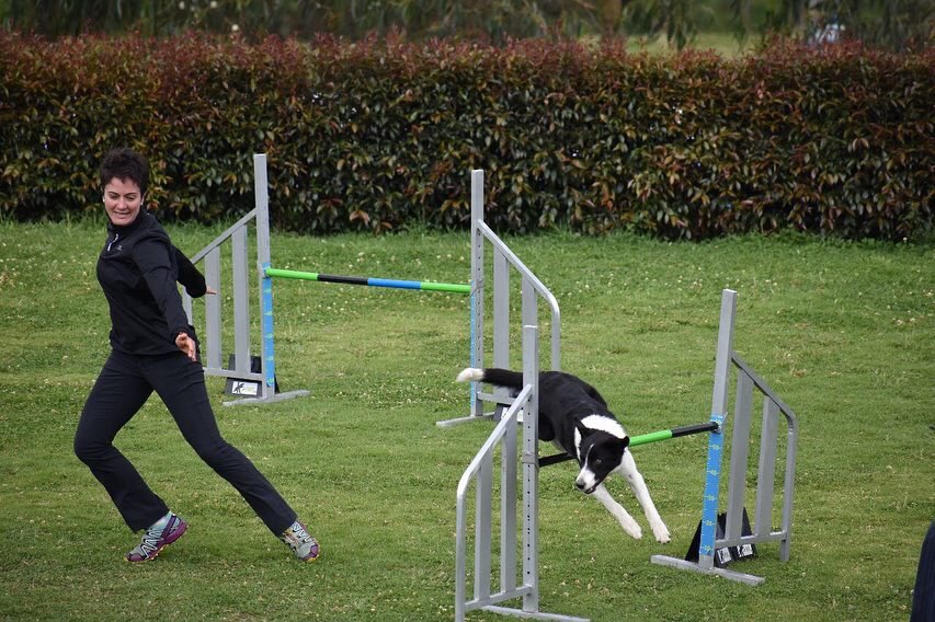 ColombiaAgility's tweet photo. Selección Colombia de Dog Agility🐾 que nos representarán en el mundial de Agility en Suecia 🇸🇪 emprende su viaje @agilityvm2018
@ELTIEMPO @NoticiasRCN @NoticiasCaracol @ZuluagaCamila @Mascotas_Y_Co @NoticiasUno @Citytv @CMILANOTICIA 
#agilitycolombia #agility @elespectador https://t.co/cIJ0VRQvn4