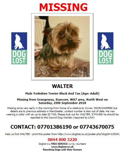 DogLostUK's tweet photo. #LOST #DOG WALTER Male #YorkshireTerrier 
#Grangeway #Runcorn #WA7 
Saturday 29th September 2018
#LostDog #ScanMe 
@VetsGetScanning @SAMPAuk_ 
https://t.co/TLKDw6M3hv https://t.co/Va4JbpGKxl