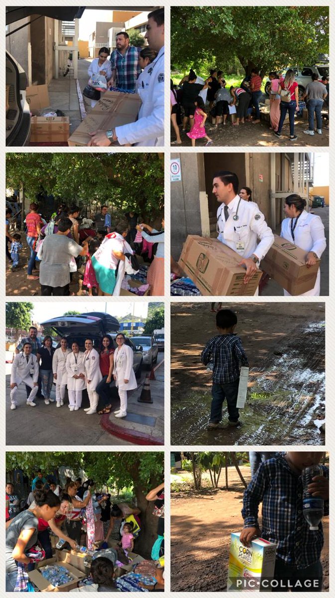 MedFamHillo's tweet photo. Orgullosamente UMF#37 
Seguimos, desde Sonora a Sinaloa. 
Equipo de Enseñanza haciendo entrega. GRACIAS A TODOS!

#OrgulloUMF37  #AyudaParaMochis #AyudaParaAhome #AyudaParaSinaloa https://t.co/rJBU2tn8hC