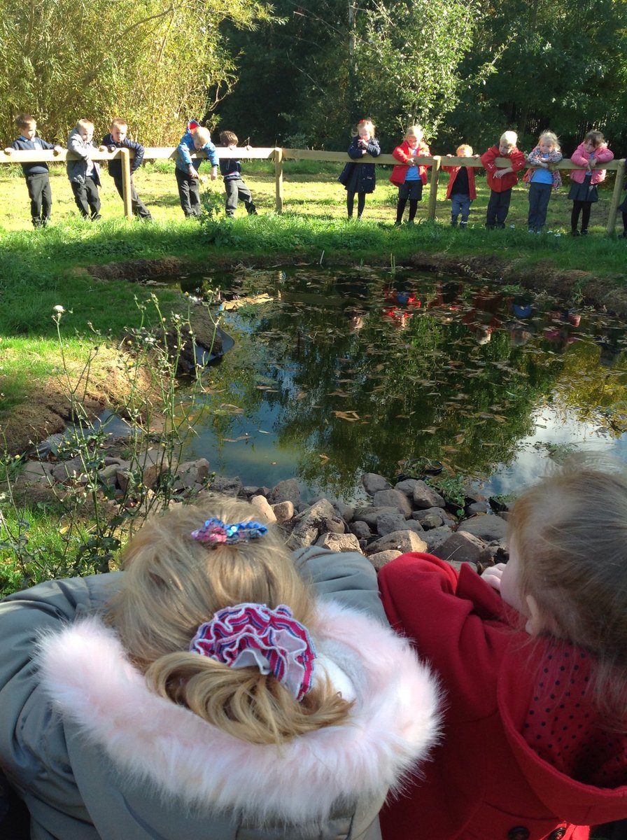 Griff_Reception's tweet image. We visited our pond to see the new plants... we're hoping for frogspawn in the Spring🐸
