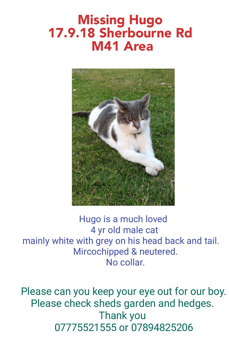 #huntforhugo #cats #missingcats #urmston #manchester #hugo #ourboy #missingcat #BringHimHome #missingpetsuk