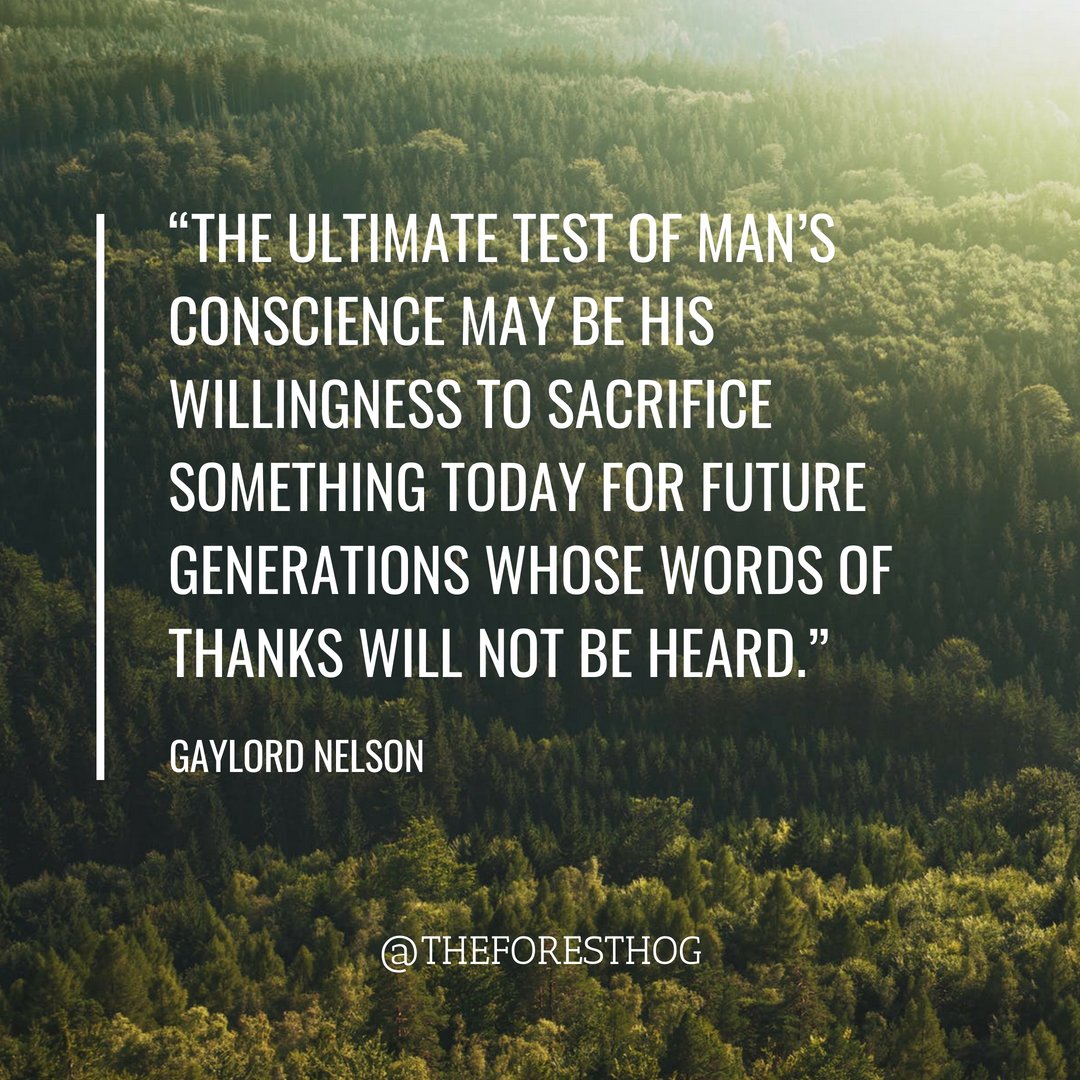 TheForestHog's tweet photo. Your sacrifice today will be beneficial for the future. #foresthog #earthwarrior #greenliving #ecofriendly #goinggreen #lowimpact #intentionalliving #nontoxicliving #happylife #sustainability #ecofriendly #earthlover #savethefuture https://t.co/sMyTwsdiRw