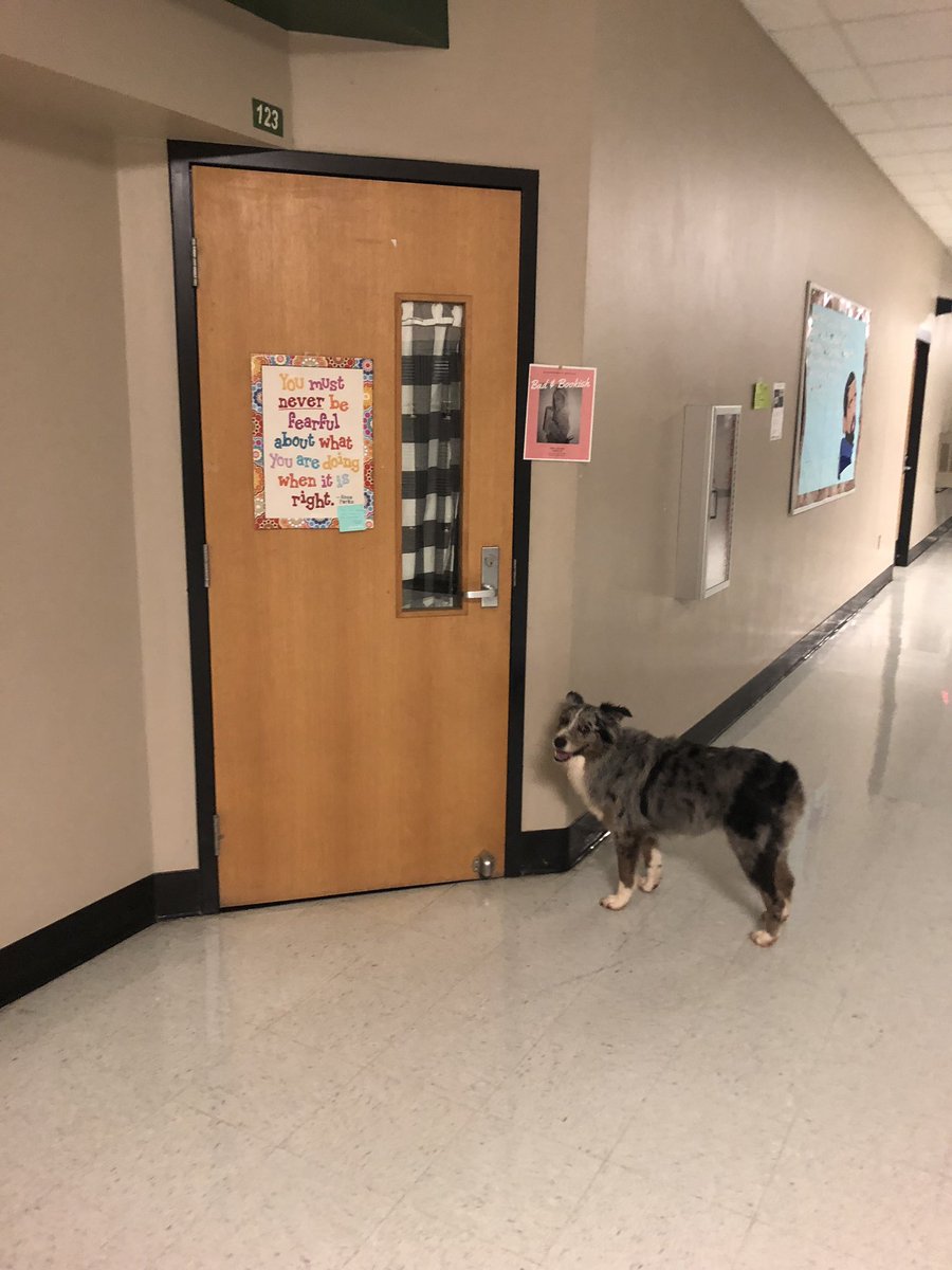 booknerdrobbins's tweet photo. Charlie knows where the magic happens at SFHS and SHE IS HERE FOR IT. https://t.co/b3pkk2NLCM