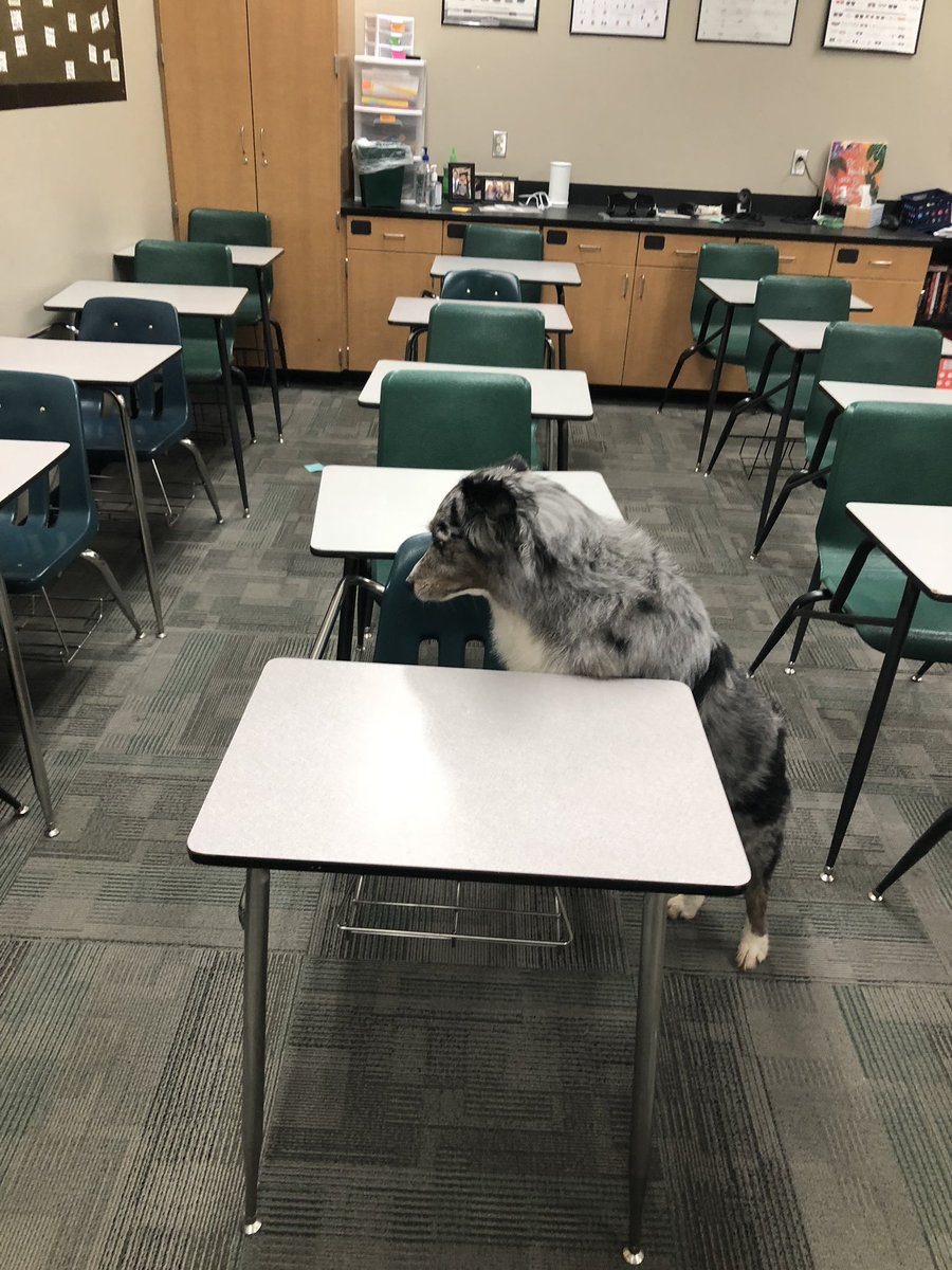 booknerdrobbins's tweet photo. Charlie knows where the magic happens at SFHS and SHE IS HERE FOR IT. https://t.co/b3pkk2NLCM