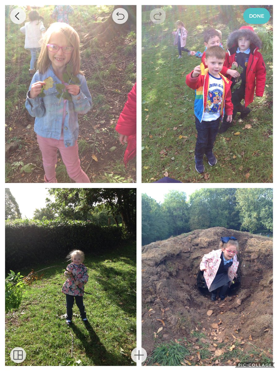 Griff_Reception's tweet image. Enjoying the Autumn sunshine 🍂🍁🌾