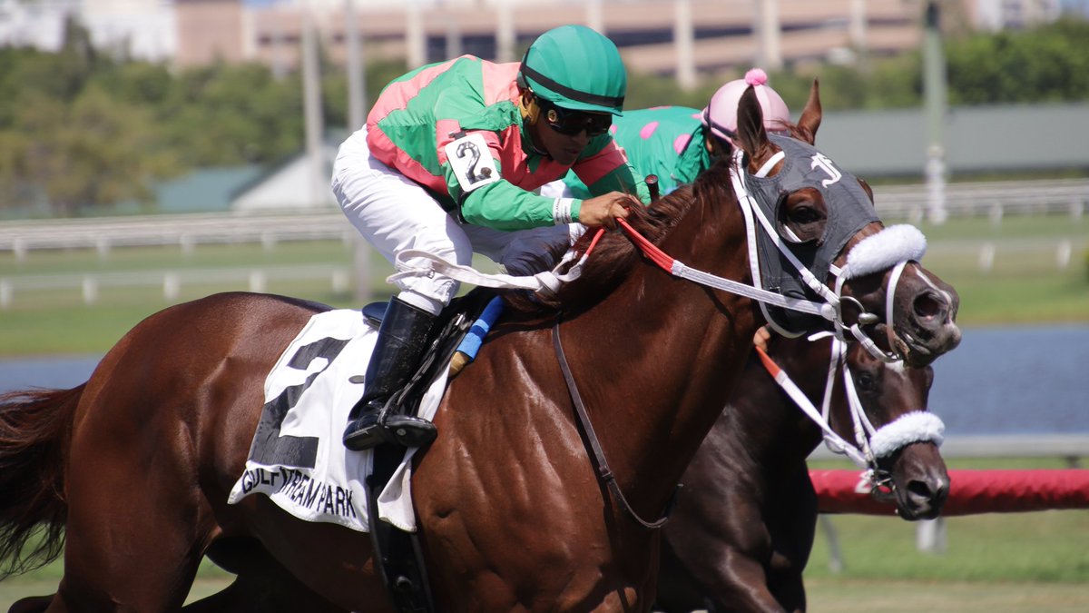 GulfstreamPark's tweet photo. Louder than Bombs, with Miguel Vasquez, prevails in the Armed Forces, two wins today for trainer @fawkesracinginc.
#GulfstreamPark #SummerMeet https://t.co/nvsaXD7Kyr