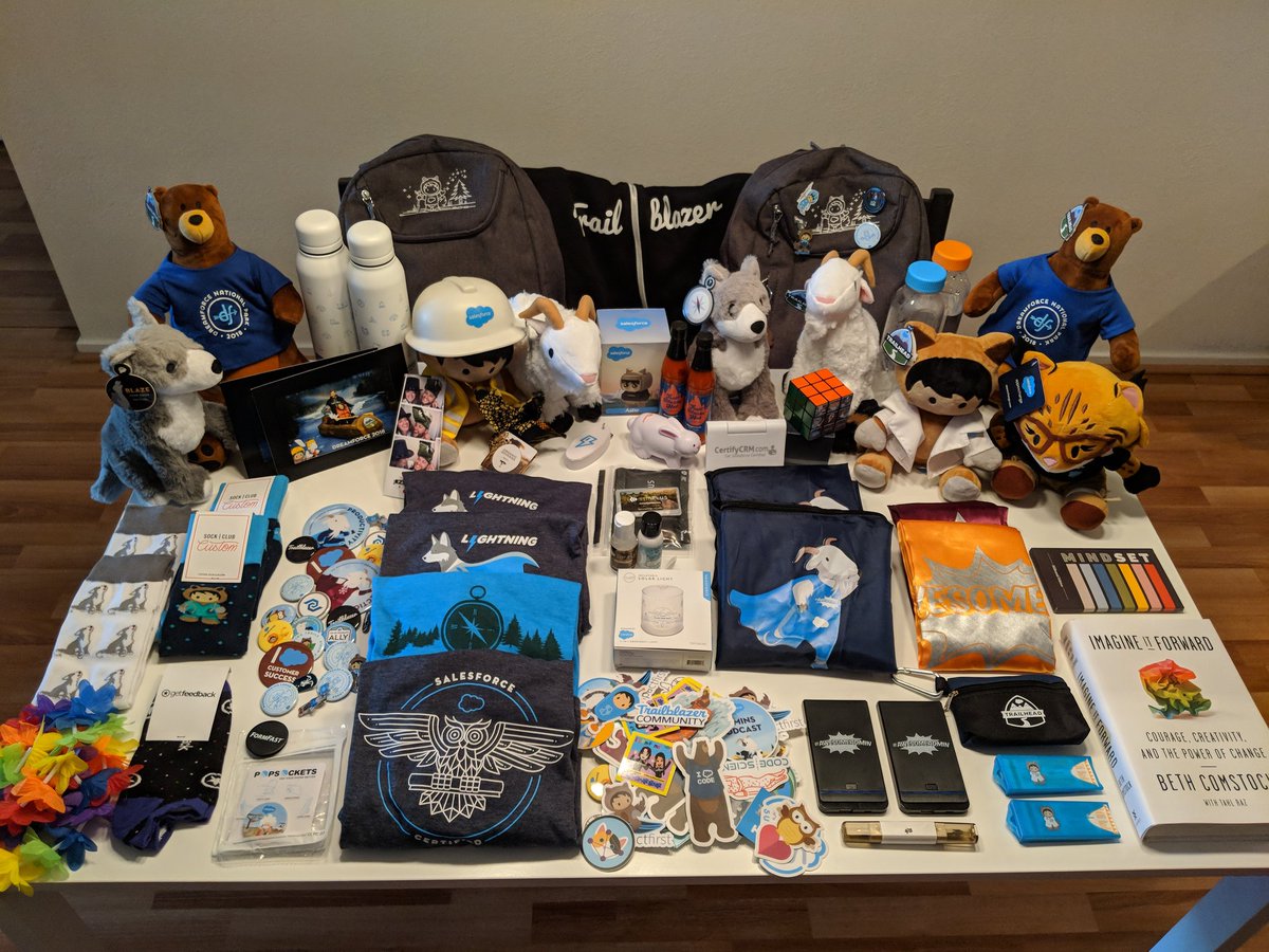 tanner_aste's tweet photo. @Dreamforce was amazing! Me and @elizabeth_aste first time and we learned so much. #obligitoryswagphoto https://t.co/T2E7XTqbkR