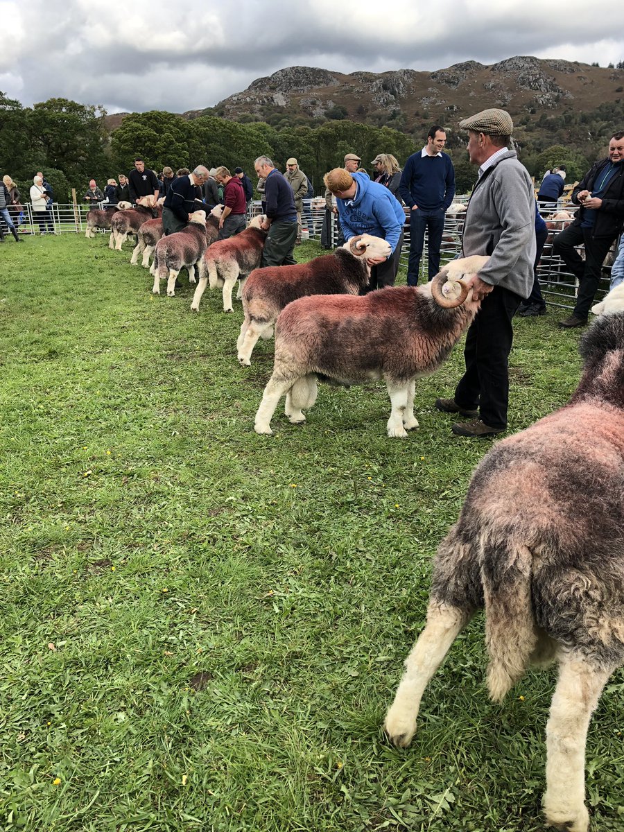 Best day out of year at eskdale for me it’s a great show, came home with 5 4ths, pretty happy with that, serious competition