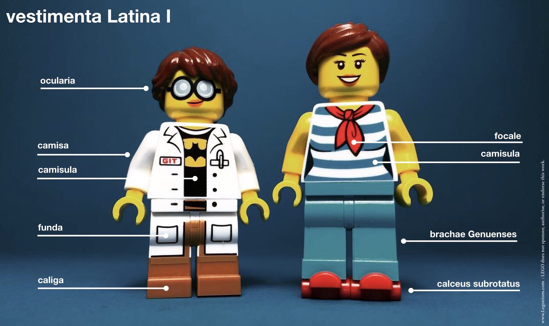 Legonium on Twitter: "vestimenta Latina : a few items of clothing, #Latin https://t.co/FJQ5phcPW2" / Twitter
