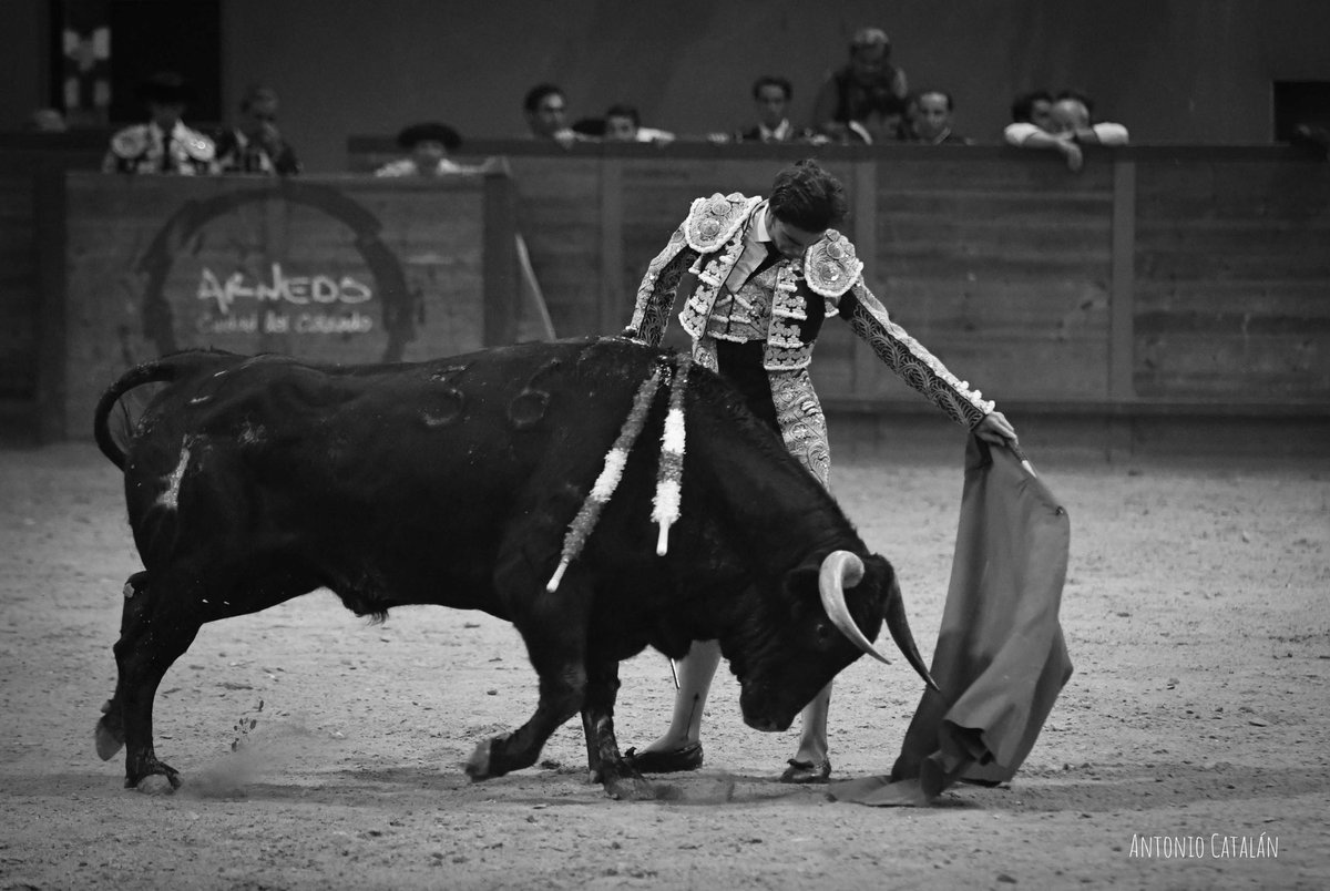 Antonio Catalan tweet media
