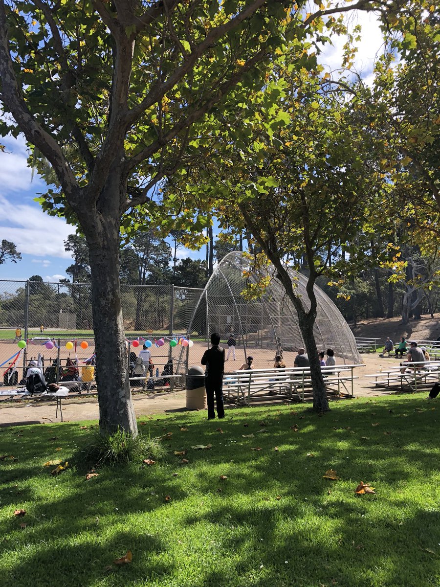 AldreteSoftball's tweet photo. Coach Chris’s team playing in the park today. #aldretetrained https://t.co/CcjiQSdX5P