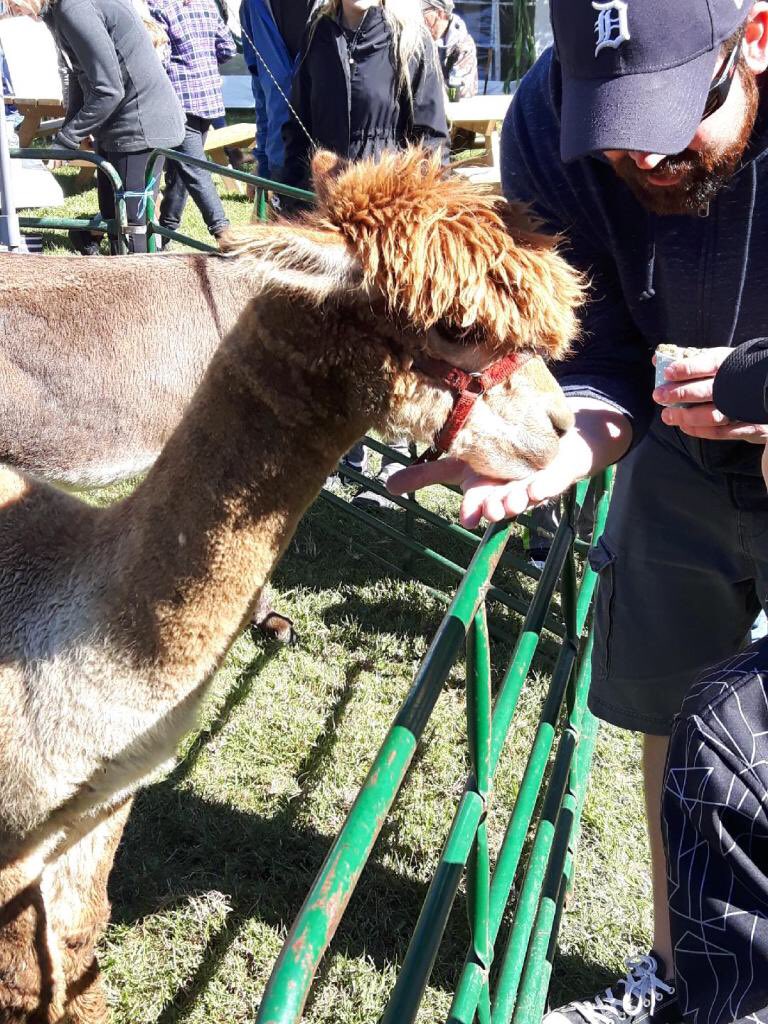 andrewjdisher's tweet photo. They got to hang with a Llama @ #dym200 . I was a bit jealous. Thankful that @PEPfest had one at a petting zoo.. https://t.co/iFpfyNWFsk