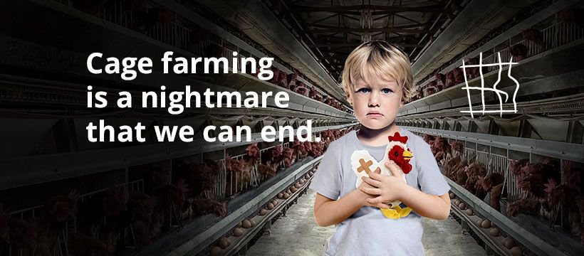 TAKE ACTION: END THE CAGE AGE FOR ALL THE UK’S FARM ANIMALS action.ciwf.org.uk/page/30488/ - via <a href="/ciwf/">Compassion in World Farming UK</a>