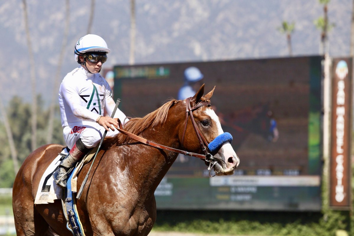 SAPublicity's tweet photo. Improbable and Drayden Van Dyke take the Saturday opener @santaanitapark at odds of 2/5. (Order - #2/7/1/6) https://t.co/8IfJPKFtnT