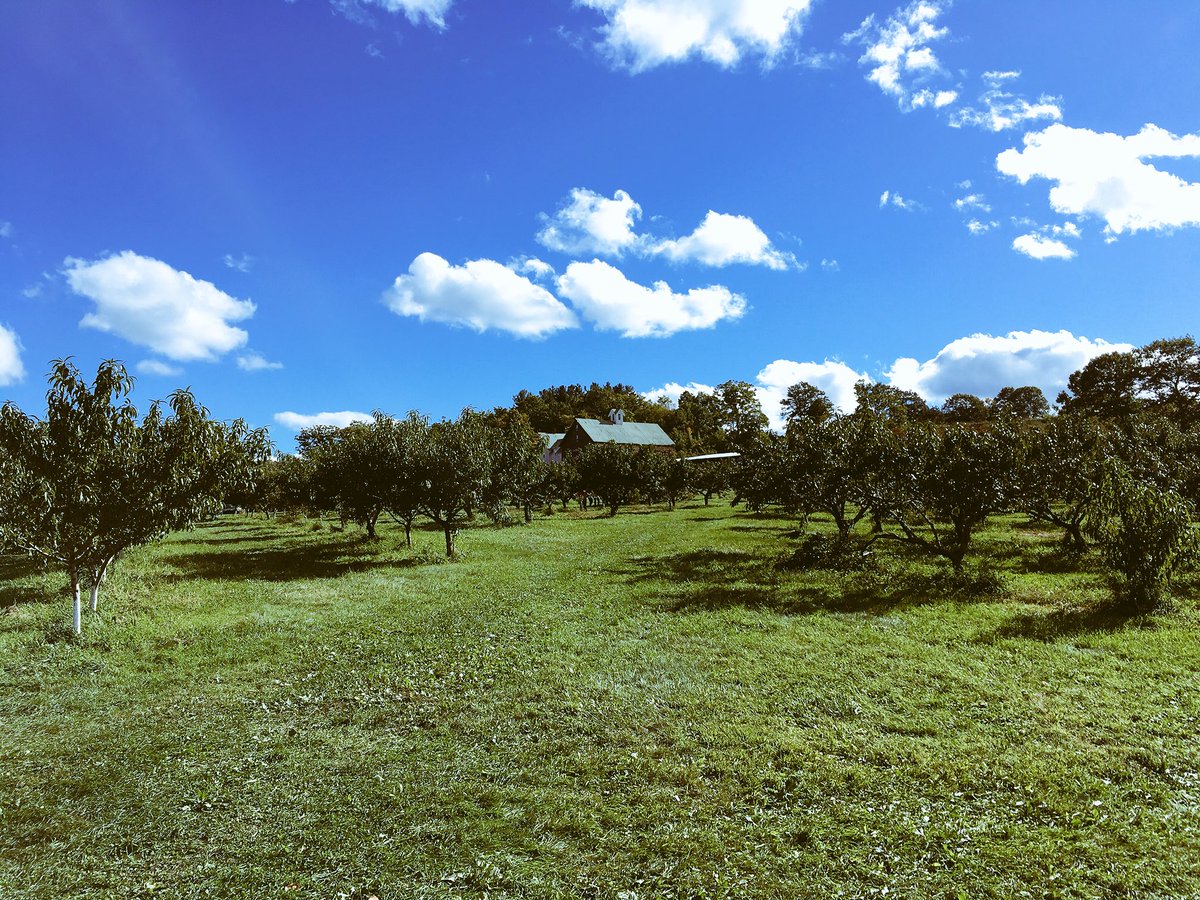 bradmyrick's tweet photo. @bradmyrick live at @GouldHillFarm goes for one more hour, then @BackyardbrewNH is tonight’s destination for live music and locally produced beverages! #buylocal #nhmusic https://t.co/Qn2Z3e7QD0